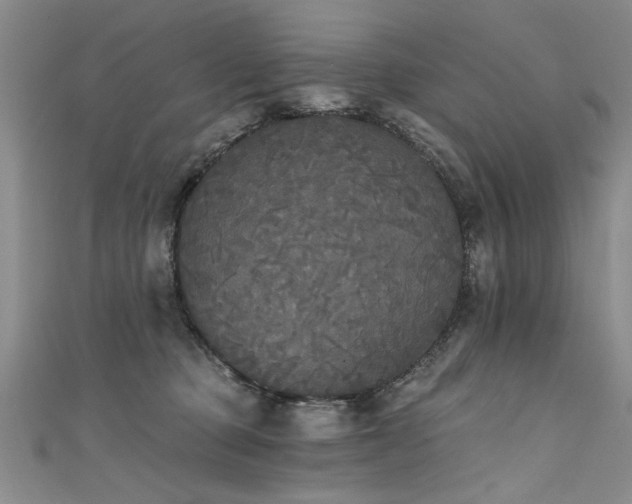 X0000111520373200907141513