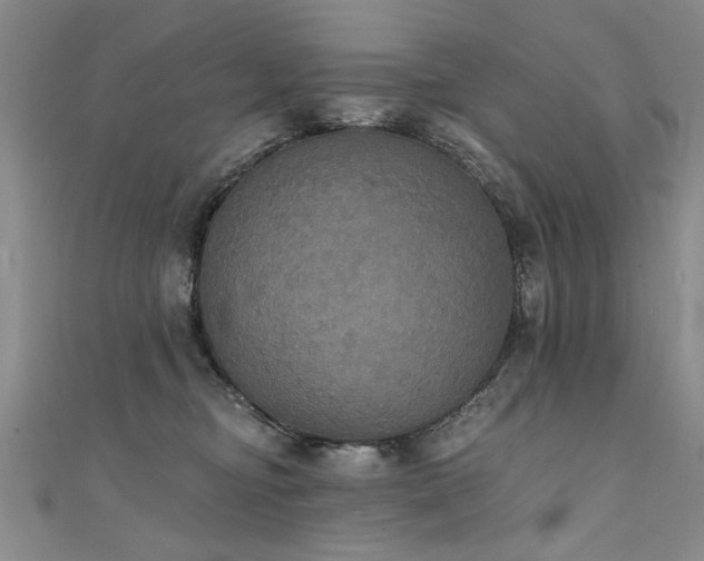 X0000111520374200907141513