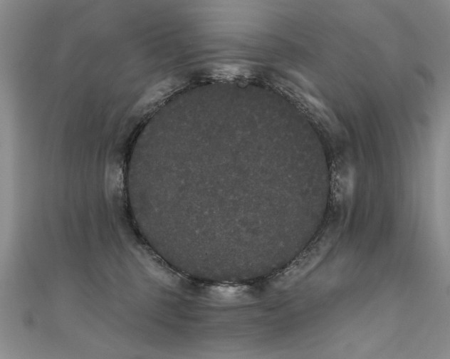 X0000111520375200907141513
