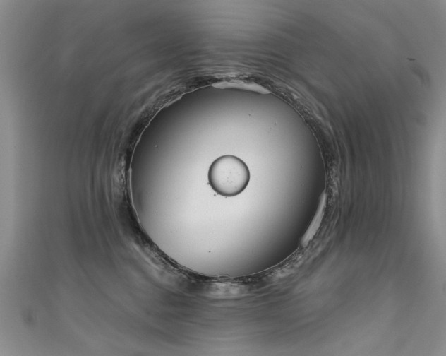 X0000111520376200907141513