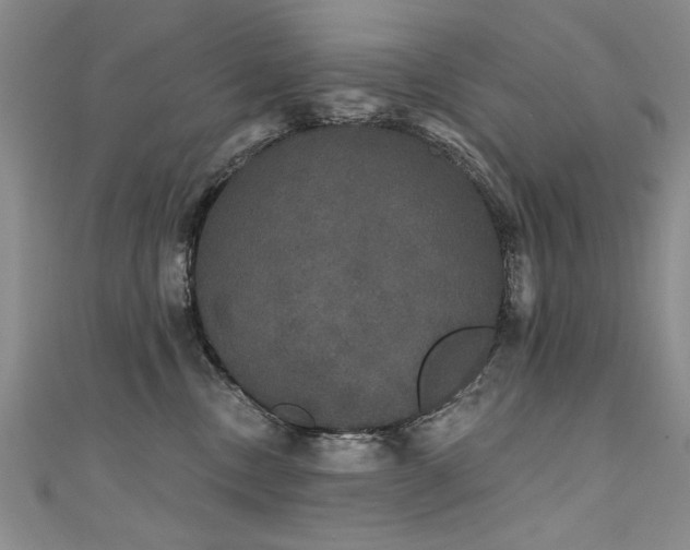 X0000111520378200907141513