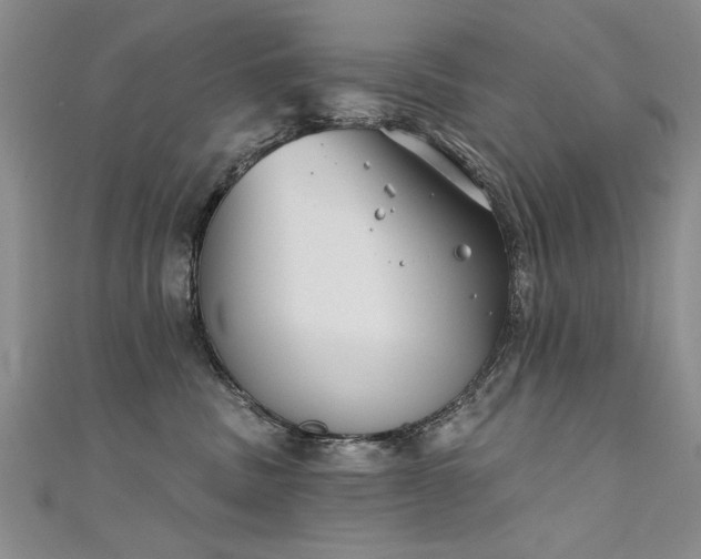 X0000111520379200907141513