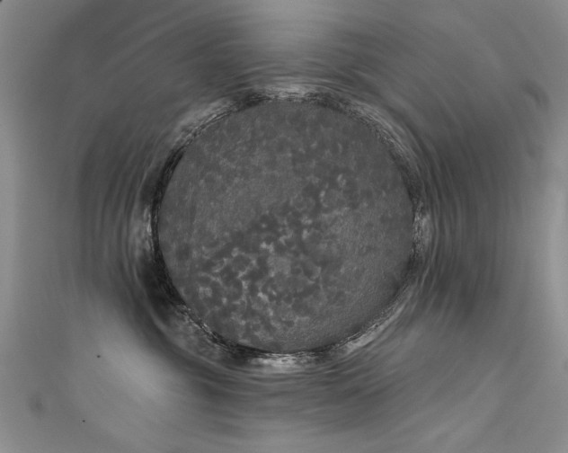 X0000111520381200907141513