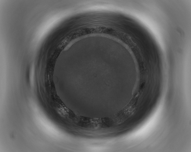 X0000111520382200907141513