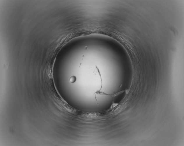 X0000111520384200907141513