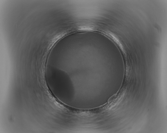 X0000111520385200907141512