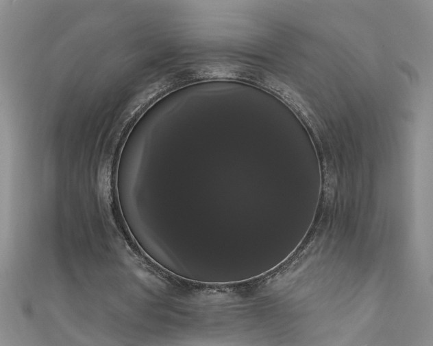 X0000111520386200907141512