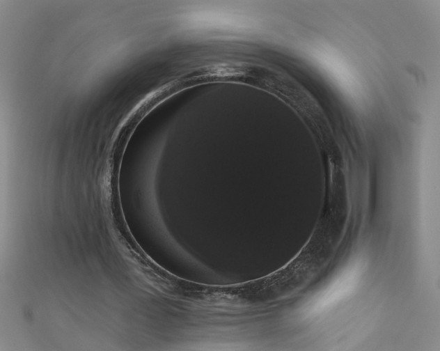 X0000111520387200907141512