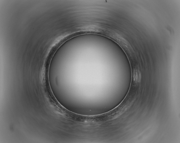 X0000111520388200907141512