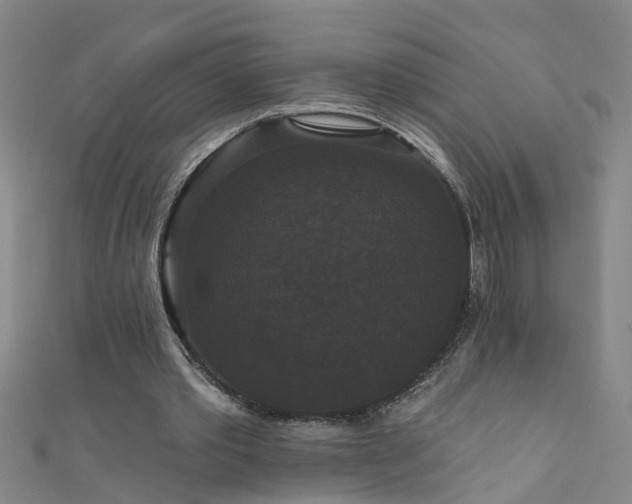 X0000111520389200907141512