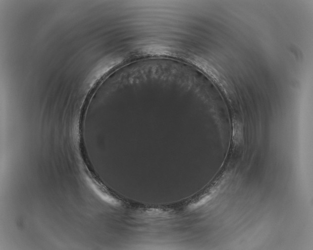 X0000111520390200907141512
