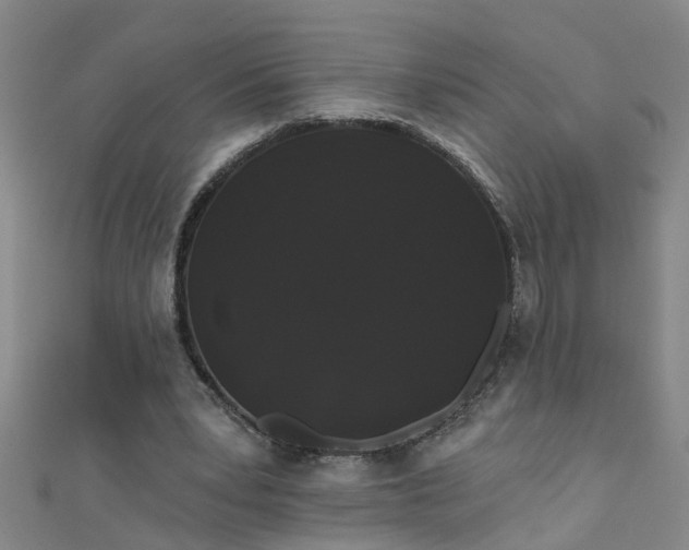 X0000111520391200907141512