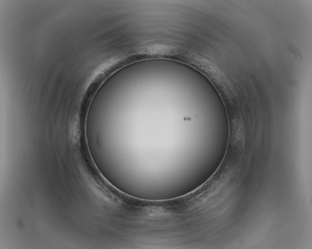 X0000111520392200907141512