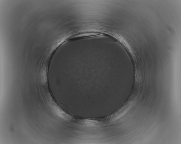 X0000111520393200907141512