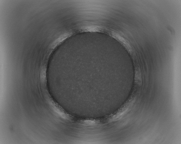 X0000111520394200907141512