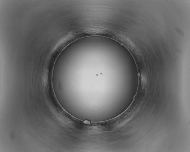 X0000111520396200907141512
