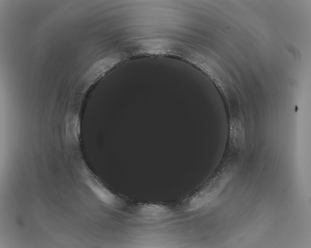 X0000111520397200907141512