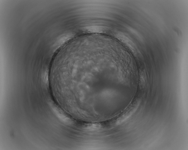 X0000111520398200907141512