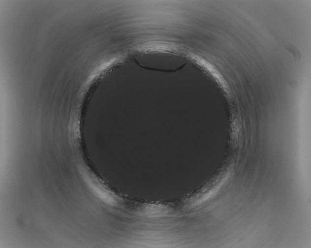 X0000111520399200907141512