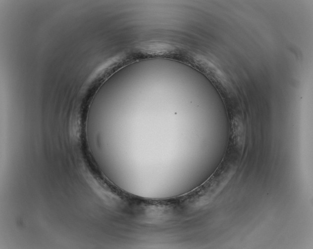 X0000111520400200907141512