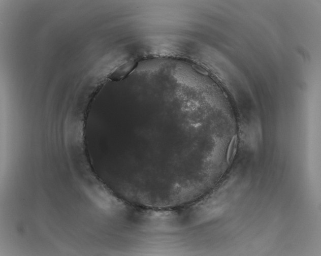 X0000111520401200907141512