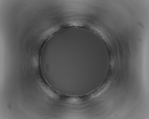 X0000111520402200907141512