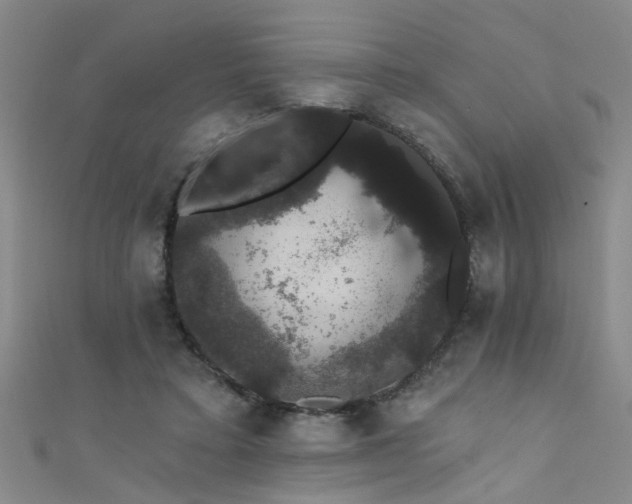X0000111520403200907141512