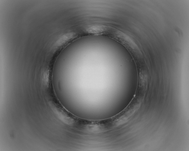 X0000111520404200907141512
