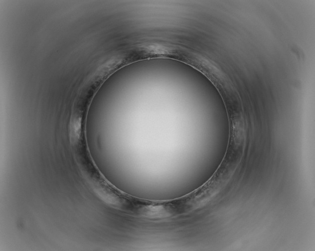 X0000111520406200907141512