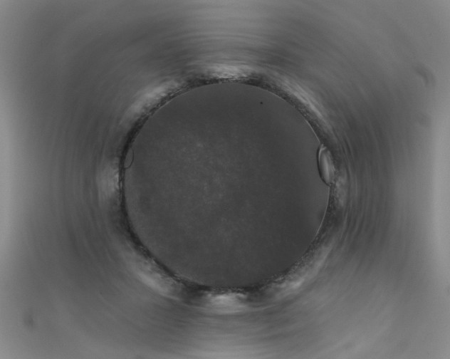 X0000111520407200907141512
