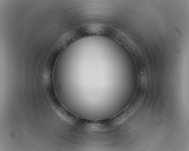 X0000111520408200907141512