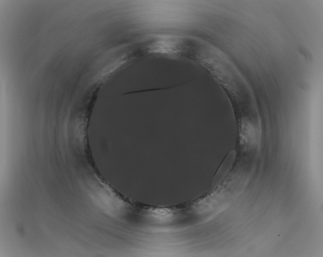 X0000111520409200907141512