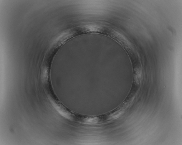 X0000111520410200907141512