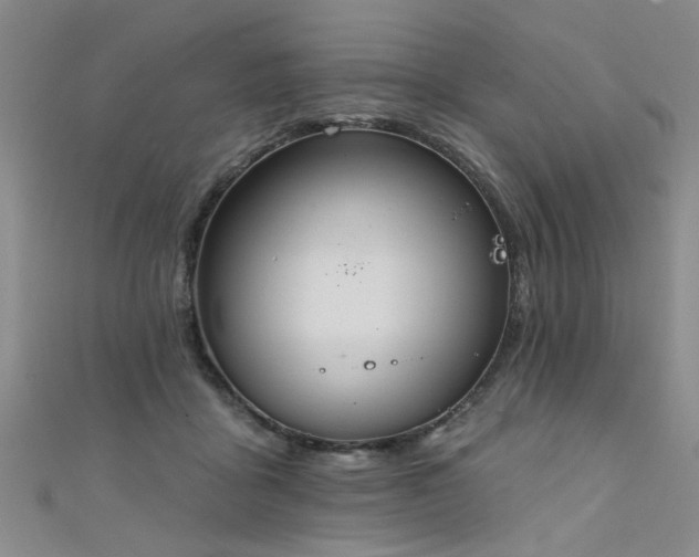 X0000111520411200907141512
