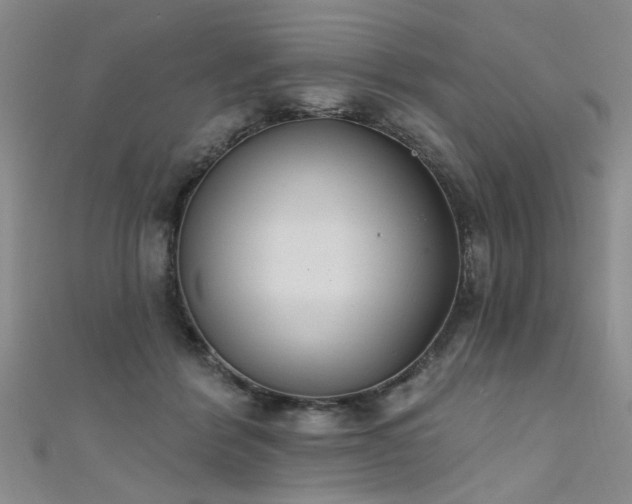 X0000111520412200907141512