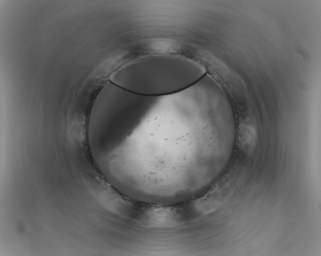 X0000111520413200907141512