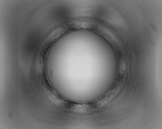 X0000111520414200907141512