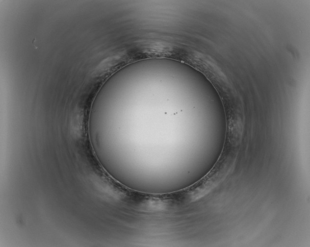 X0000111520416200907141512