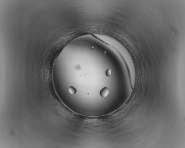X0000111520417200907141512