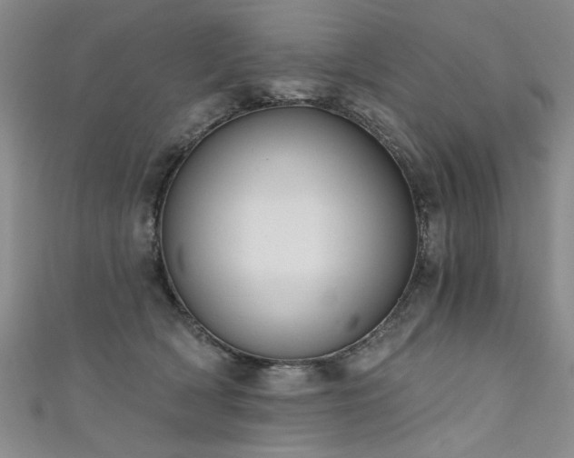 X0000111520418200907141512