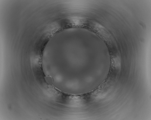 X0000111520419200907141512