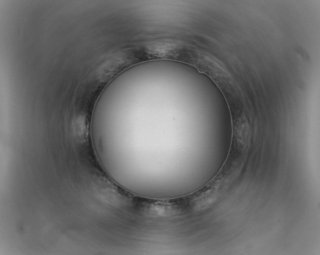 X0000111520420200907141512