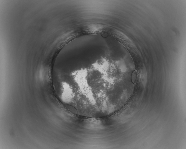 X0000111520421200907141512
