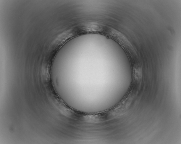 X0000111520422200907141512