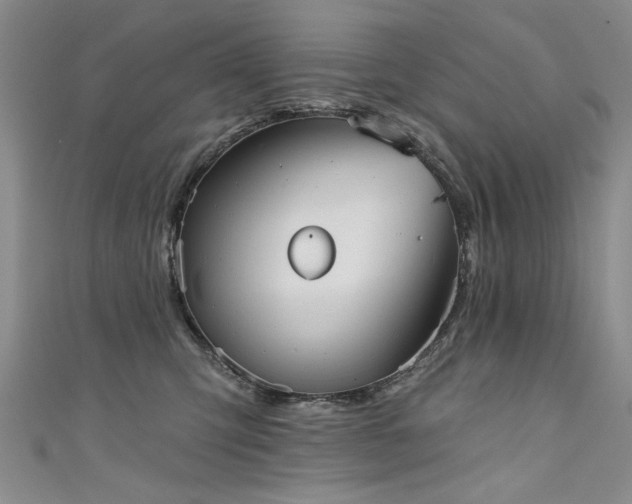 X0000111520423200907141512