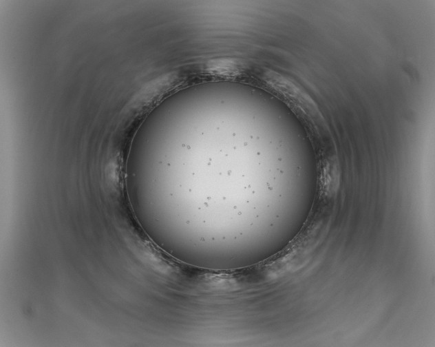 X0000111520424200907141512