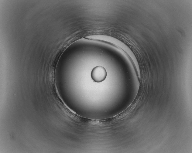 X0000111520425200907141512