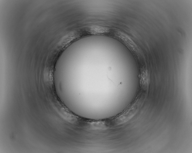 X0000111520426200907141512