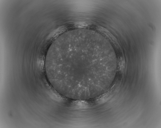 X0000111520427200907141512