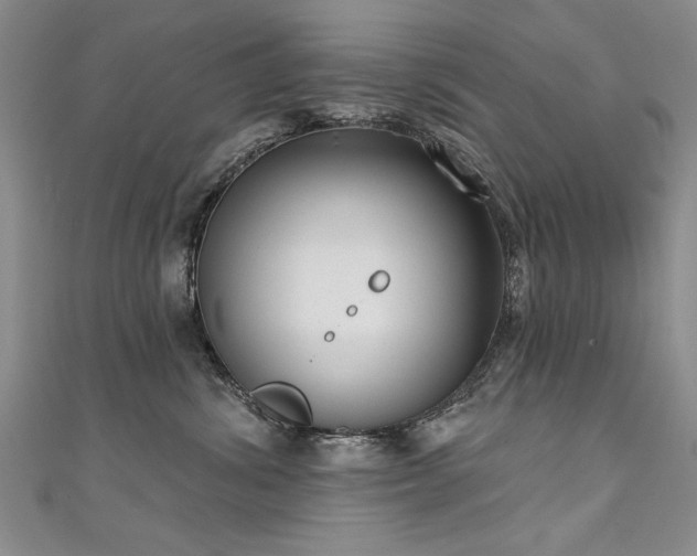 X0000111520428200907141512